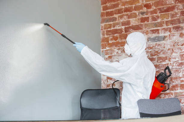  Gallipolis, OH Mold Removal Pros