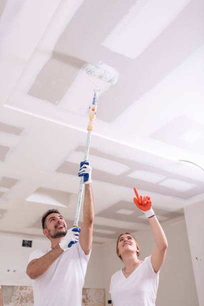 Gallipolis, OH Mold Removal Company
