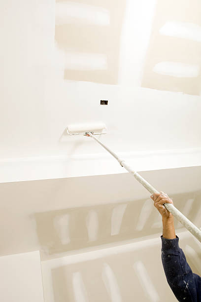 Best Biohazard Mold Removal  in Gallipolis, OH
